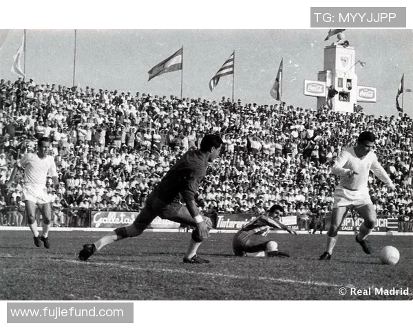 匈牙利传奇足球巨星普斯卡什辉煌生涯与世界足坛影响力 匈牙利传奇足球巨星普斯卡什辉煌生涯与世界足坛影响力