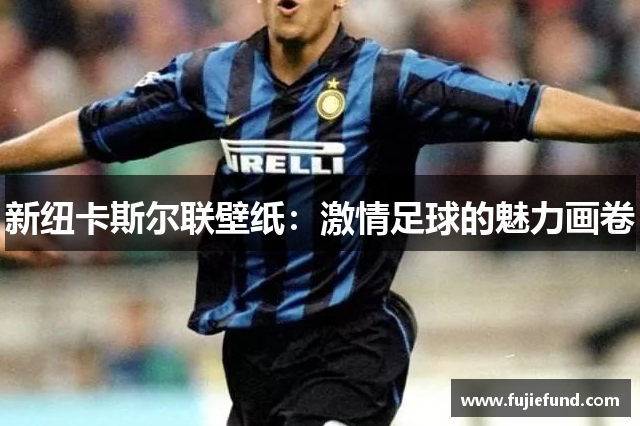 新纽卡斯尔联壁纸：激情足球的魅力画卷